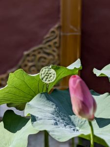 Veranstaltung Daoistische Uebung